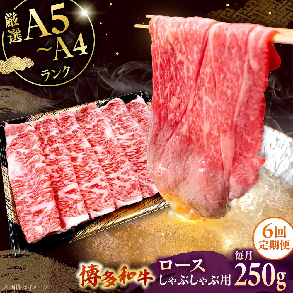 【全6回定期便】【数量限定 博多和牛】ロース しゃぶしゃぶ用 250g 桂川町/株式会社チクゼンヤ [ADBZ043] 牛肉 赤身 国産 定期便