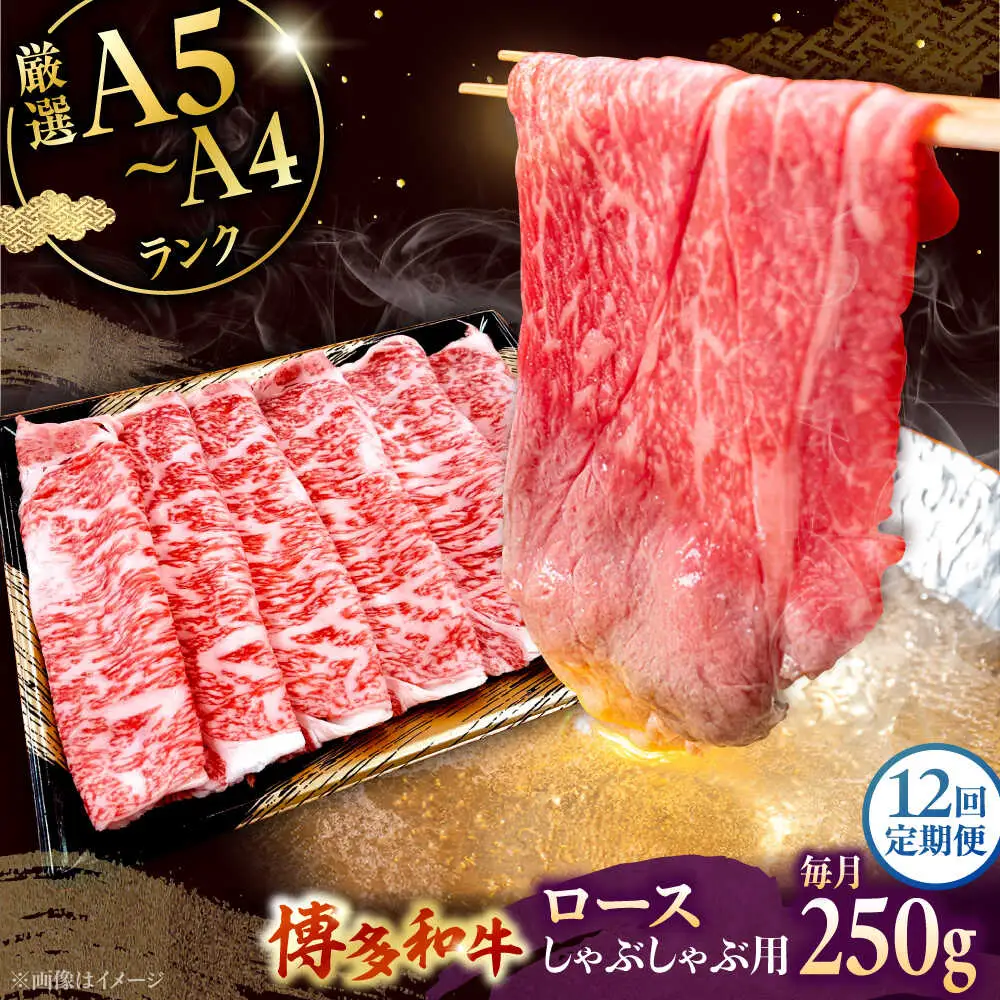 【全12回定期便】【数量限定 博多和牛】ロース しゃぶしゃぶ用 250g 桂川町/株式会社チクゼンヤ [ADBZ044] 牛肉 赤身 国産 定期便