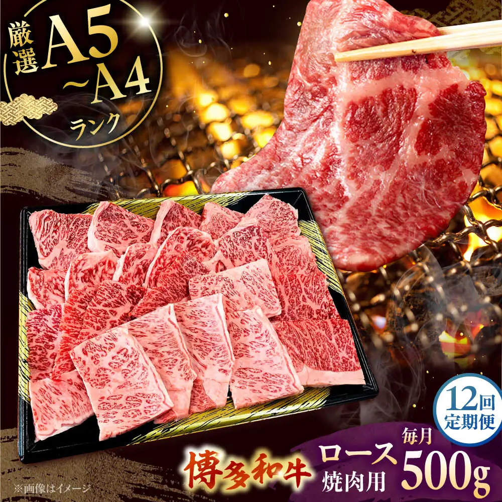【全12回定期便】【数量限定 博多和牛】ロース 焼肉用 500g 桂川町/株式会社チクゼンヤ [ADBZ048] 焼肉 焼肉用 牛肉 国産 定期便