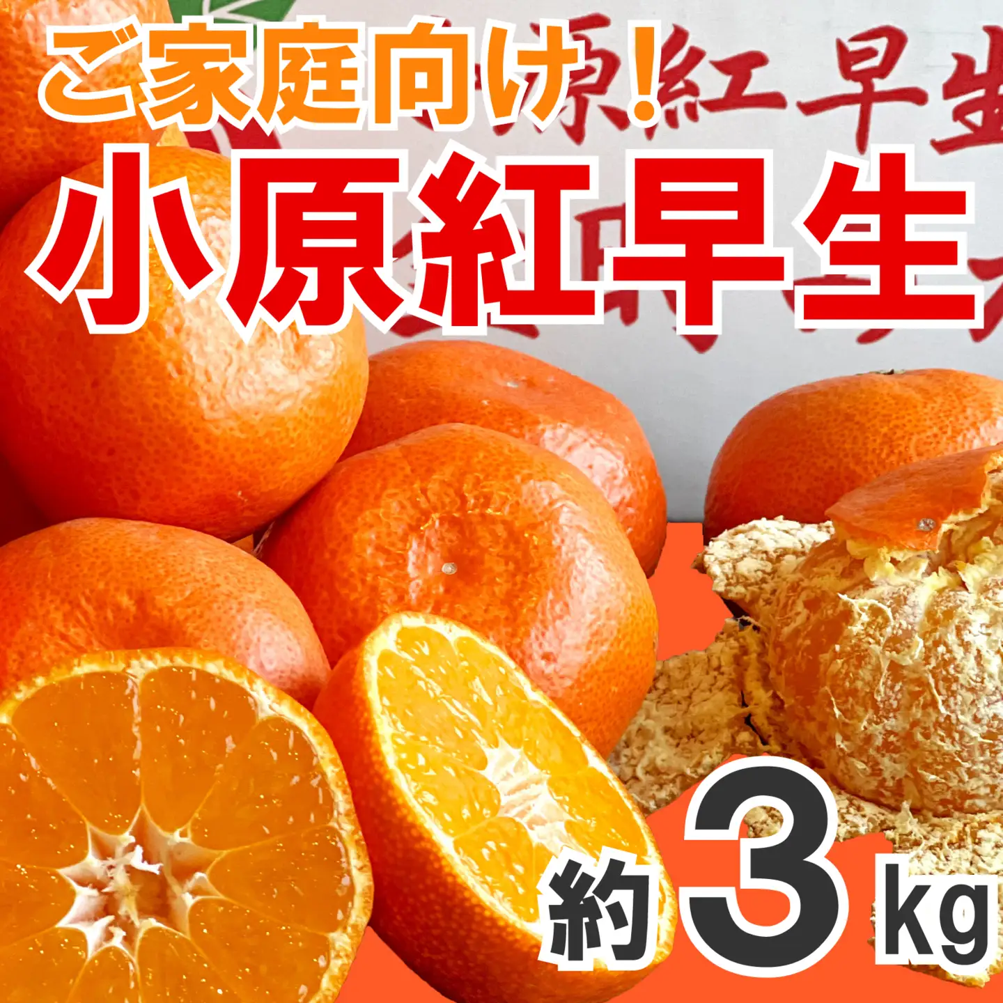 【2026年11月中旬～】【家庭用】小原紅早生 約3kg みかん みかん