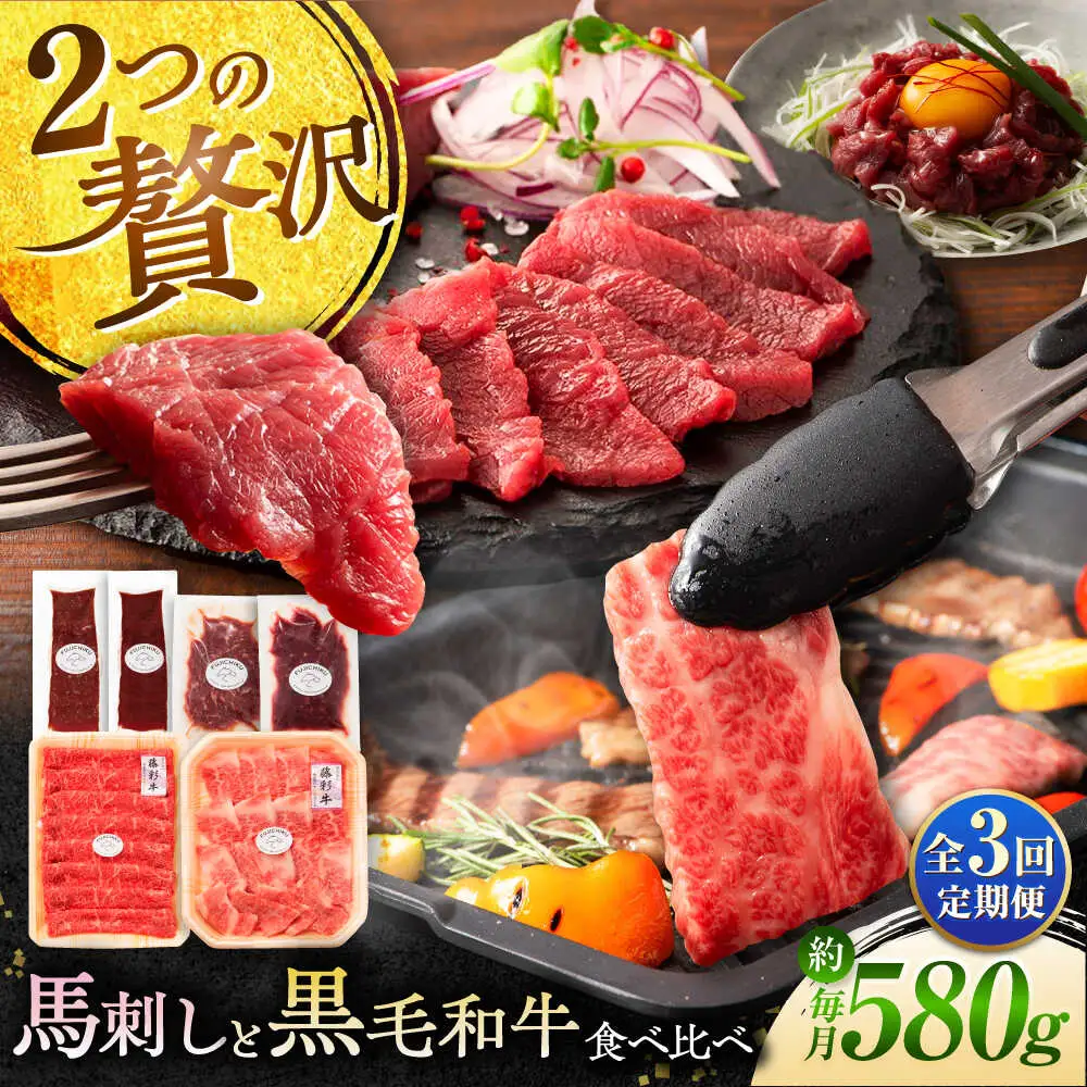 全3回定期便 熊本特産馬刺しとくまもと黒毛和牛 フジチクオリジナル贅沢食べ比べセット 3905  焼肉 BHAD051