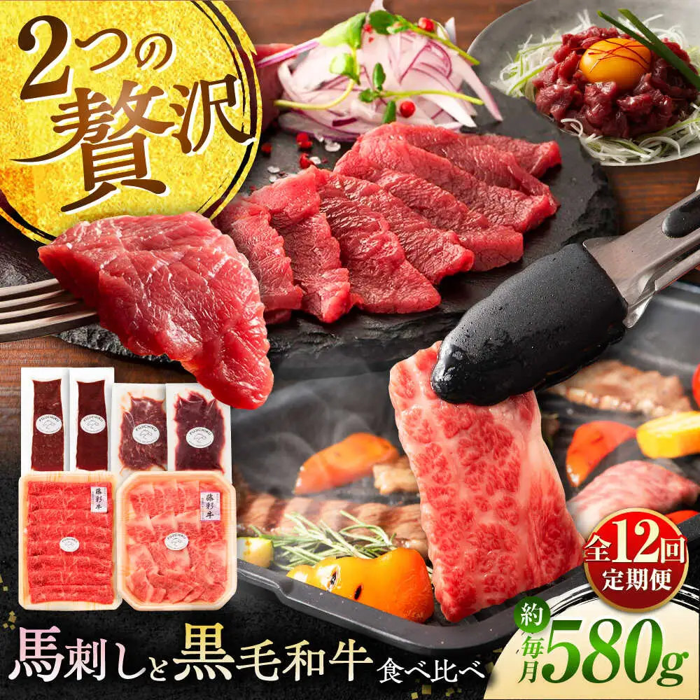 全12回定期便 熊本特産 馬刺し とくまもと黒毛和牛 フジチクオリジナル贅沢食べ比べセット 3905 馬刺し BHAD053