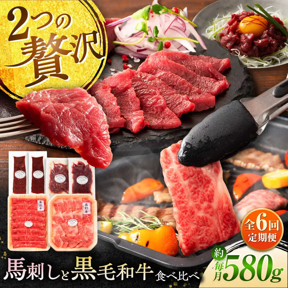 全6回定期便 熊本特産馬刺しとくまもと黒毛和牛 フジチクオリジナル贅沢食べ比べセット 3905 馬刺し BHAD052