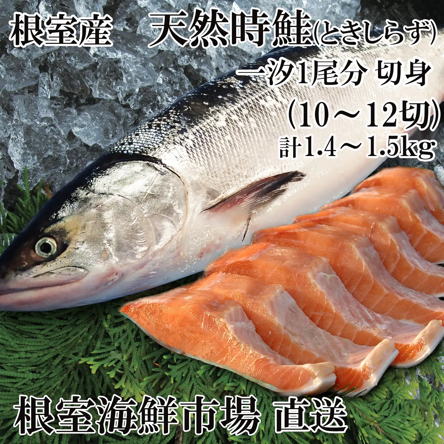 【北海道根室産】無添加天然時鮭(トキシラズ)1尾分切身(10～12切) B-14121