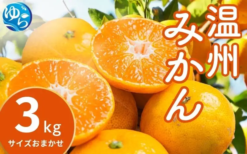 温州みかん 3kg (サイズおまかせ) ※2026年12月中旬～2027年1月下旬に順次発送予定 ※北海道・沖縄・離島配送不可 / ミカン 蜜柑 フルーツ 果物 柑橘 果実 由良町 国産 産地直送 和歌山県 【eiw004-r-3】