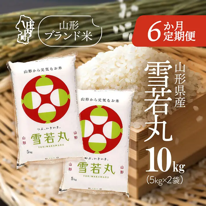【6か月定期便】特A 山形米 雪若丸 10kg 毎月 5kg×2袋 令和7年産 / 令和8年産 ブランド米 米 山形 庄内平野 定期【8月中旬発送/入金期限：2026年7月25日】