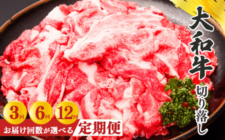 【 定期便 12回 】 奈良県産 黒毛和牛 大和牛 切り落し 500g ( 250g x2) ｜ブランド牛 和牛 金井畜産