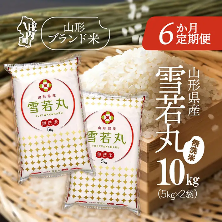 【6か月定期便】特A 山形米 雪若丸 無洗米 10kg 毎月 5kg×2袋 令和7年産 / 令和8年産 ブランド米 米 山形 庄内平野 定期【8月中旬発送/入金期限：2026年7月25日】