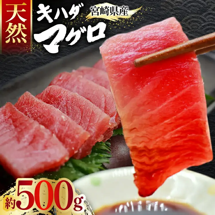 【期間限定発送】 マグロ 刺身 宮崎県産 天然 キハダマグロ 約500g