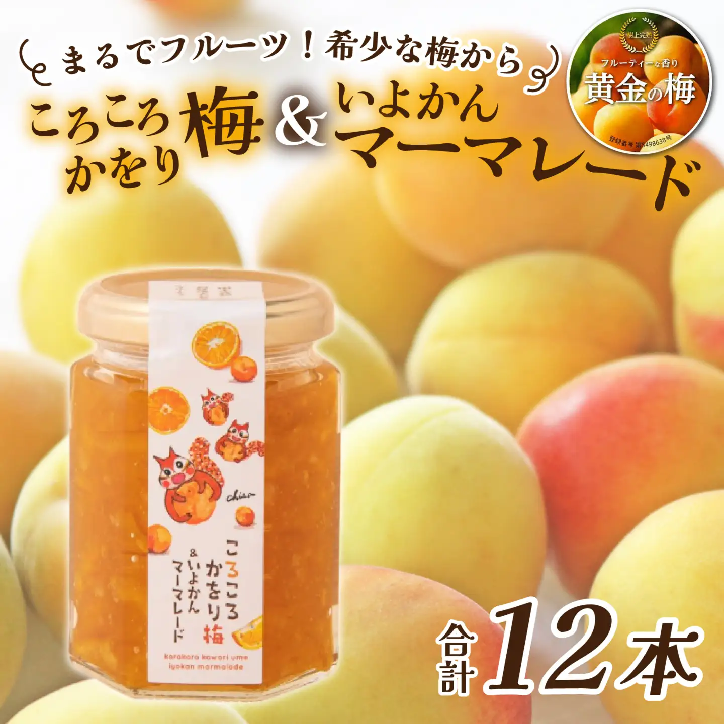 まるでフルーツ！希少な梅から「ころころかをり梅＆いよかんマーマレード」12本 [D-178005] / 梅 うめ いよかん マーマレード 加工品 調味料 ジャム 季節ジャム パン ジャムティー ヨーグルト 料理 手造り