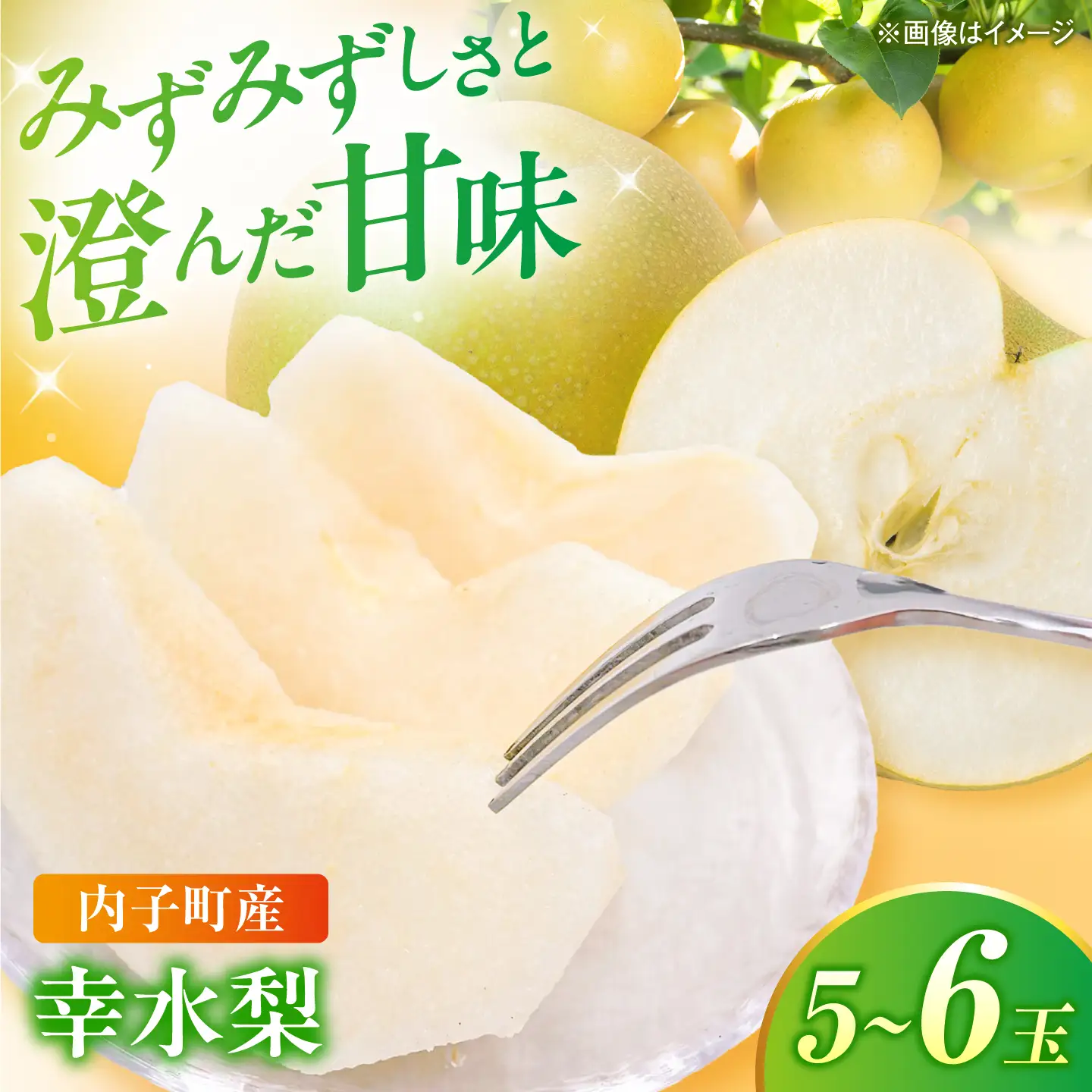 【先行予約】幸水梨 5-6玉 BKAY027 梨