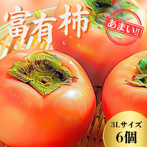 【先行予約】Farm m&aの富有柿 3L×6個 秀品 岐阜県 大野町（2026年11月下旬～発送）農家直送 果物 フルーツ 秋の味覚 柿 かき 富有 ふゆう