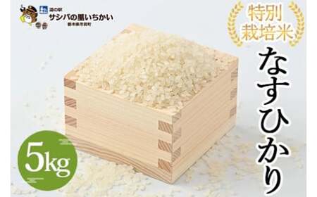 市貝町産 特別栽培米〈なすひかり〉5kg ｜ 国産 栃木県産米 お米 特別栽培米 精米 白米 栃木米 とちぎ米 ※2026年9月～発送