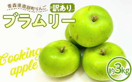 【訳あり】希少品種りんご ブラムリー 約3kg 【四戸農園】 青森県エコファーマー認定 減農薬 有機肥料 青森りんご リンゴ 林檎 アップル あおもり 青森 青森県 南部町 果物 くだもの フルーツ 訳アリ わけあり 家庭用 規格外 おすすめ F21U-332