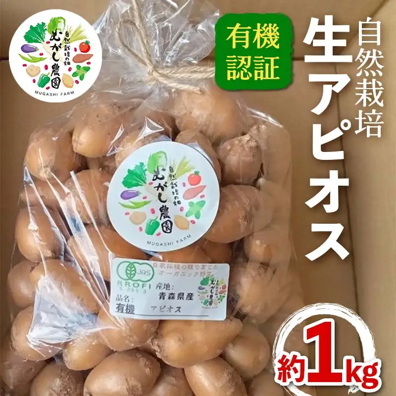 有機認証 自然栽培 生アピオス 約1kg 【むがし農園】オーガニック F21U-374