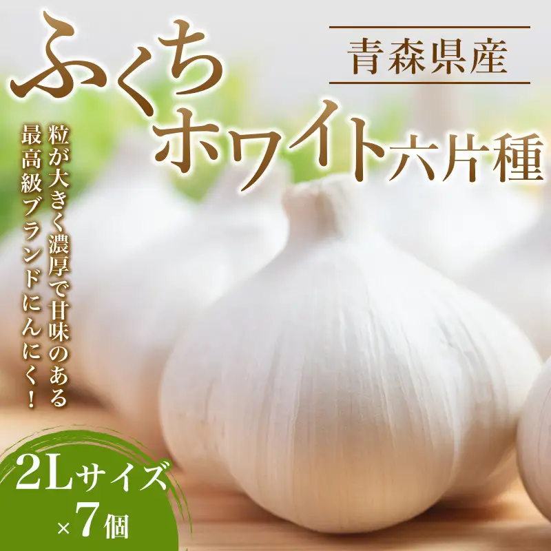 南部町営市場 直送 にんにく「ふくちホワイト六片種」（2Lサイズ×7個） 《カネテ青果》 F21U-124