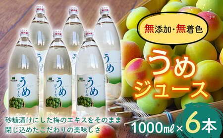 うめジュース (1000ml瓶×６本) 【森の菜園】 F21U-197
