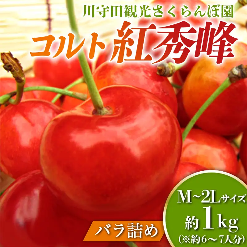 さくらんぼ 「コルト紅秀峰 M～2Lサイズ」 バラ (約1kg ) ※6～7人分 【川守田観光さくらんぼ園】 F21U-162