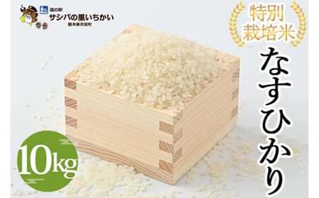 市貝町産 特別栽培米〈なすひかり〉10kg ｜ 国産 栃木県産米 お米 特別栽培米 精米 白米 栃木米 とちぎ米 ※2026年9月～発送