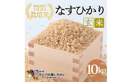 市貝町産 特別栽培米〈なすひかり〉玄米10kg ｜ 国産 栃木県産米 お米 特別栽培米 栃木米 とちぎ米 ※2026年9月～発送