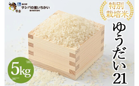市貝町産 特別栽培米〈ゆうだい21〉5kg ｜ 国産 栃木県産米 お米 特別栽培米 精米 白米 栃木米 とちぎ米 ※2026年9月～発送