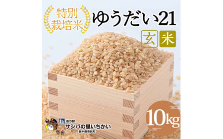 市貝町産 特別栽培米〈ゆうだい21〉玄米10kg ｜ 国産 栃木県産米 お米 特別栽培米 栃木米 とちぎ米 ※2026年9月～発送