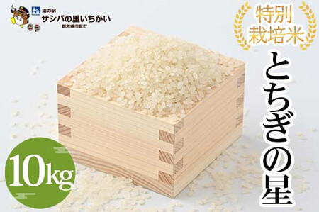 特別栽培米〈とちぎの星〉10kg ≪米 お米 白米 ご飯 栃木県産≫ ※2026年9月～発送