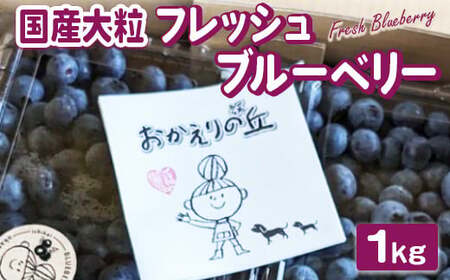 【先行予約】栃木県市貝町「おかえりの丘」フレッシュブルーベリー1kg ※離島への配送不可 ※2026年6月中旬頃より順次発送予定