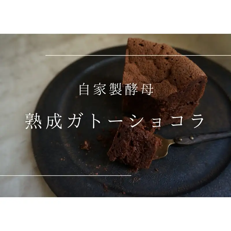 熟成ガトーショコラ【たねのおやつ】_HA1675