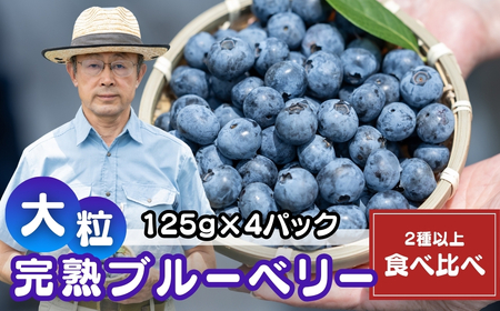 ブルーベリー 国産大粒 2種以上食べ比べ 125g×4パック 計500g | ブルーベリー 金子果樹園