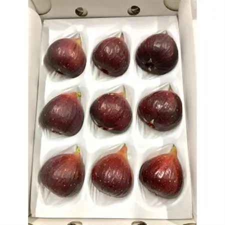 【1日1箱限定】皮がおいしい栽培期間中農薬不使用の完熟いちじく　約1kg　愛知県安城産【配送不可地域：離島・北海道・沖縄県】【1619339】