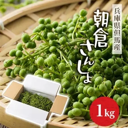 2027年先行予約 5月下旬～発送 朝倉さんしょ 1kg 生 実山椒 クール便 冷蔵 兵庫県産 直送【配送不可地域：離島】【1616574】