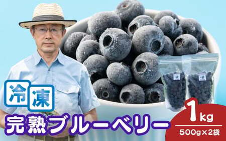ブルーベリー 国産 冷凍ブルーベリー 500g×2袋 計1kg | ブルーベリー 金子果樹園