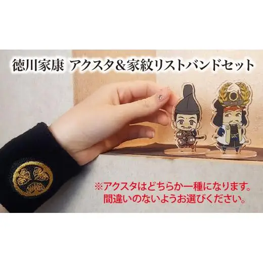 【家康といつも一緒】徳川家康 アクスタ（しかみ像）＆家紋リストバンドセット