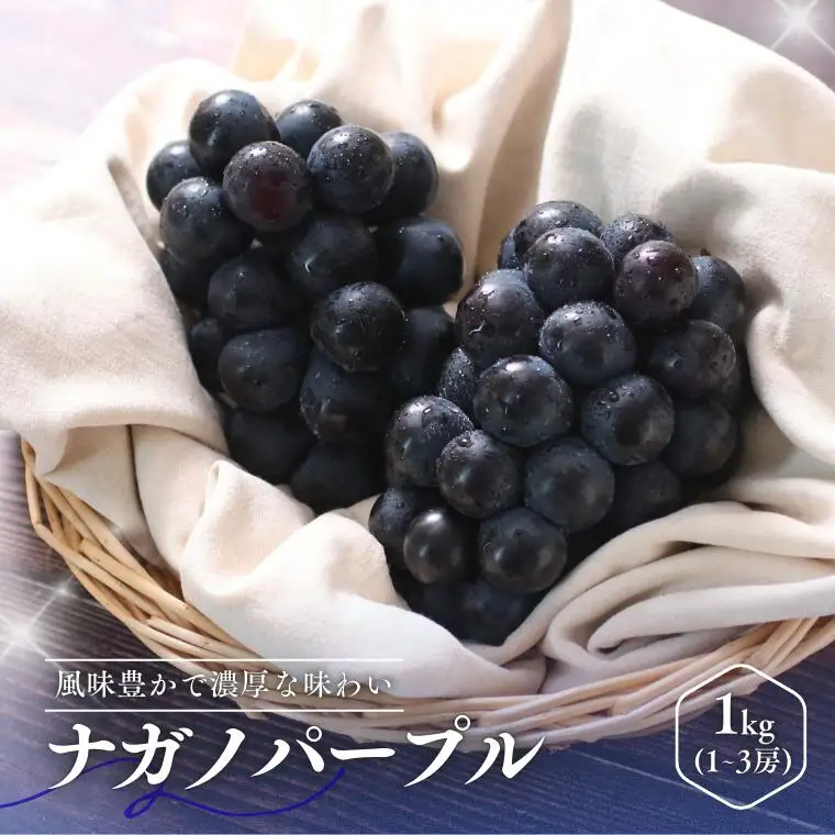 MS32 ぶどう ナガノパープル （長野県産秀品） 約1kg / 2026年8月下旬～10月上旬頃 配送予定 // 種なし 皮ごと 葡萄 ブドウ ぶどう ナガノ パープル 南信州 長野県 オリジナル品種 稀少