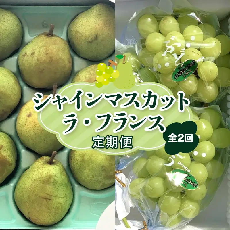 【定期便：全２回】＜ご家庭用＞シャインマスカット１.５ｋｇとラ・フランス３ｋｇ　0049-2602