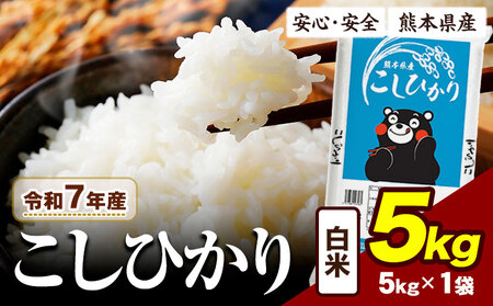 令和7年産  精米 こしひかり 白米 5kg　《7-14日以内に出荷予定(土日祝除く)》
