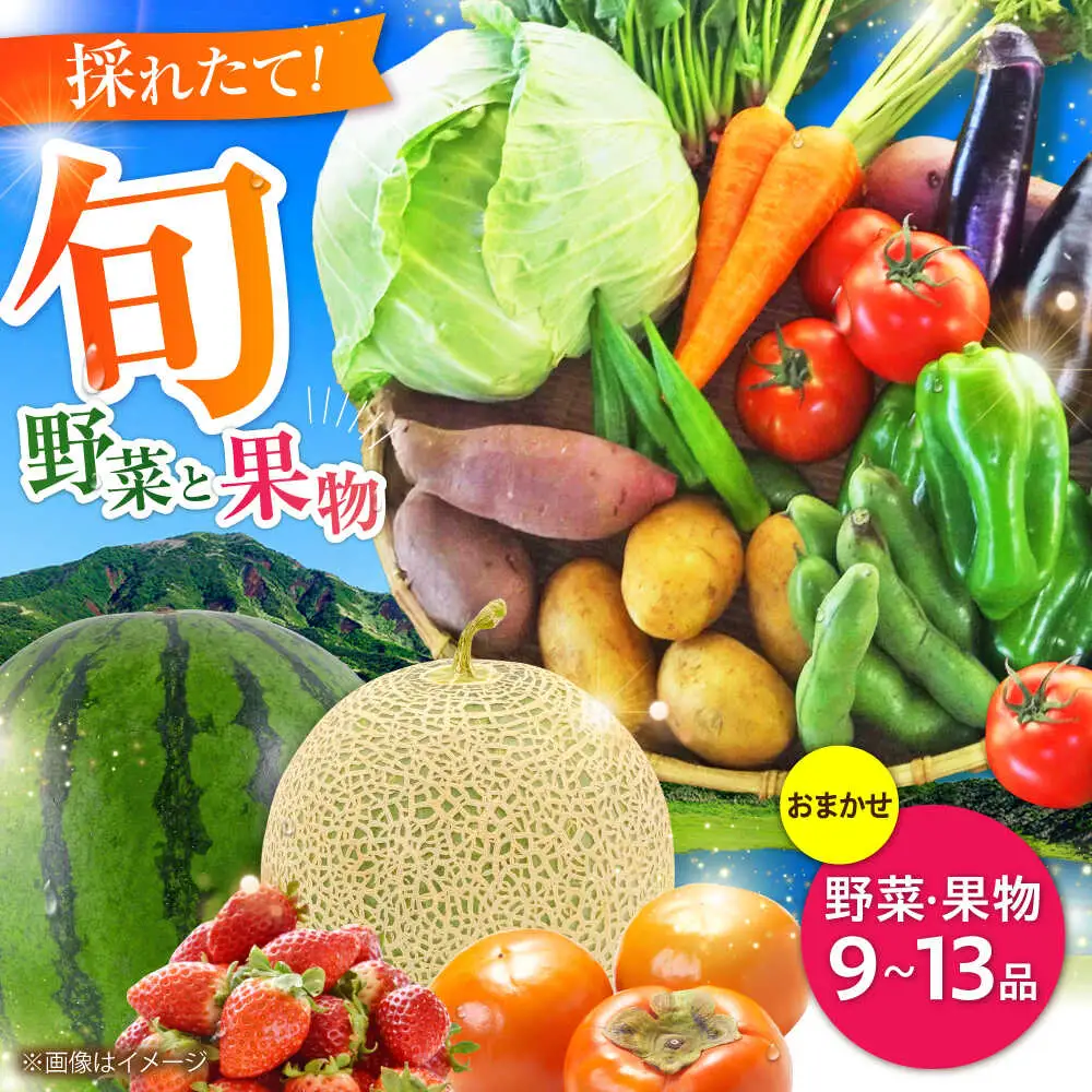 菊陽町特産品「 野菜 ・ 果物 などの詰め合わせ 野菜 果物 BHAK006