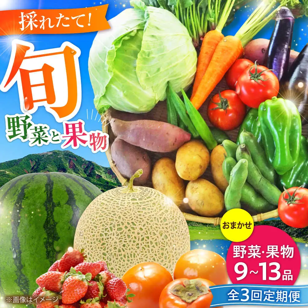 全3回定期便 菊陽町特産品 「 野菜 ・ 果物 などの詰め合わせ」 野菜 果物 BHAK007