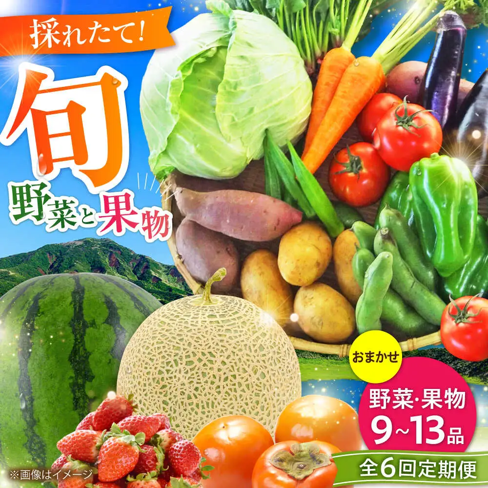 全6回定期便 菊陽町特産品 「 野菜 ・ 果物 などの詰め合わせ」 野菜 果物 BHAK008