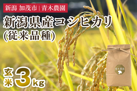 【令和8年産新米先行予約】新潟県産 コシヒカリ（従来品種）玄米3kg（3kg×1袋）《10月上旬から順次発送》