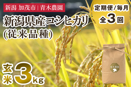 【令和8年産新米先行予約】【定期便3回毎月お届け】新潟県産 コシヒカリ（従来品種）玄米3kg（3kg×1袋）《10月上旬から順次発送》