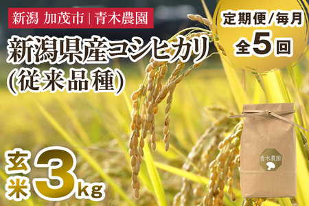 【令和8年産新米先行予約】【定期便5ヶ月毎月お届け】新潟県産 コシヒカリ（従来品種）玄米3kg（3kg×1袋）《10月上旬から順次発送》