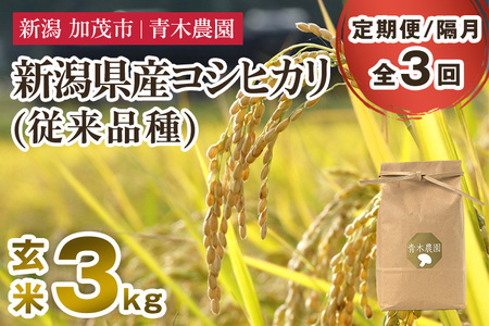 【令和8年産新米先行予約】【定期便3回隔月お届け】新潟県産 コシヒカリ（従来品種）玄米3kg（3kg×1袋）《10月上旬から順次発送》