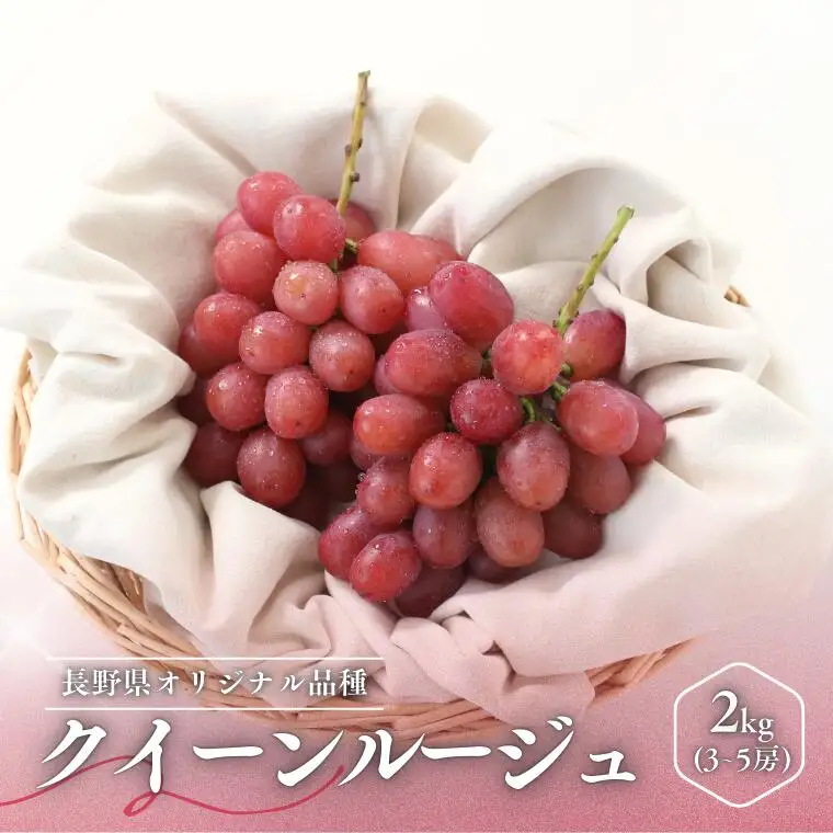 MS35 ぶどう クイーンルージュ®（長野県産秀品） 約2kg / 2026年10月中旬～11月上旬頃 配送予定 // 稀少 新品種 長野県 南信州 高糖度 葡萄 ブドウ クインルージュ 甘い 種なし 皮ごと