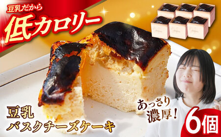 豆乳バスクチーズケーキ チーズケーキ [XCQ001]