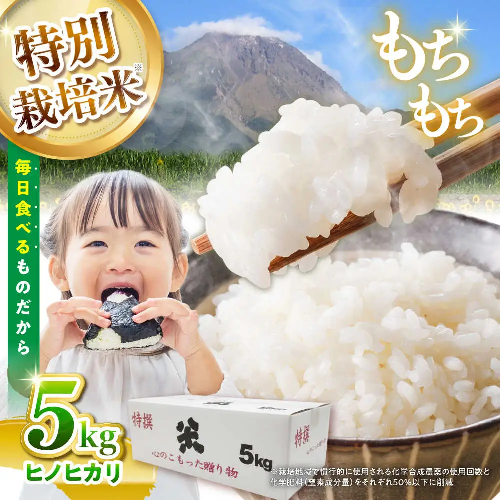 【特別栽培米】 ヒノヒカリ 5kg / 米 精米 白米 ごはん ご飯 ひのひかり / 南島原市 / 農家民宿　いちご一会[SBN001]