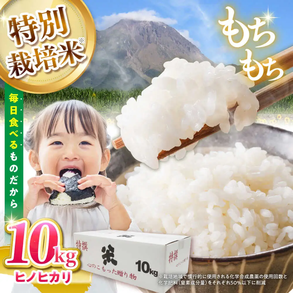 【特別栽培米】 ヒノヒカリ 10kg (5kg×2袋) / 米 精米 白米 ごはん ご飯 ひのひかり / 南島原市 / 農家民宿　いちご一会[SBN002]