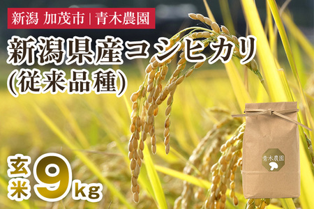 【令和8年産新米先行予約】新潟県産 コシヒカリ（従来品種）玄米9kg（3kg×3袋）《10月上旬から順次発送》