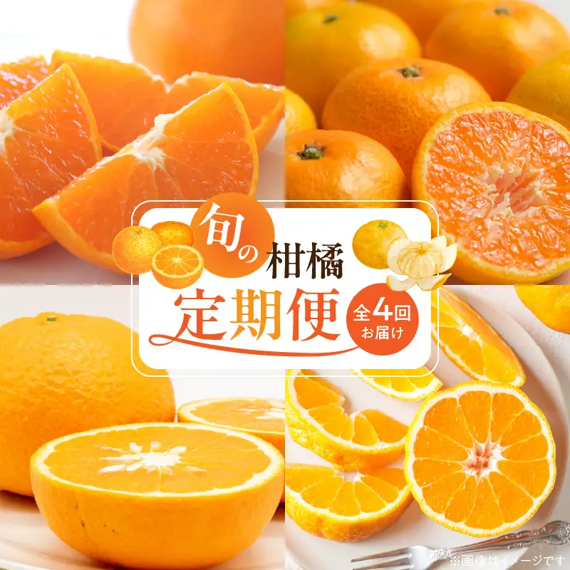 【定期便 全4回】紀州和歌山産旬の柑橘セット(みかん・不知火・せとか・清見)全4回_G60-T99